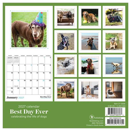 2027 Best Day Ever: Dogs Mini Calendar